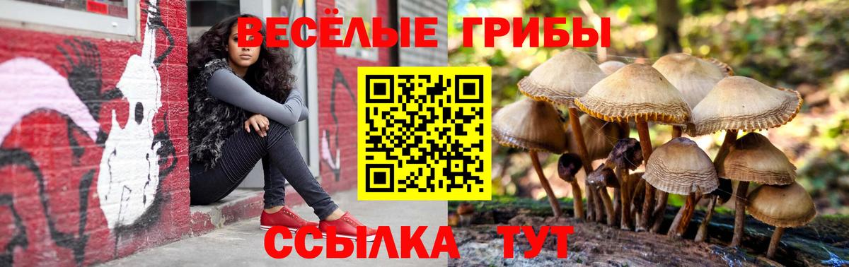 Псилоцибиновые грибы Psilocybe  Вход с VPN  Галлюциногенные грибы MAGIC MUSHROOMS  Туймазы 